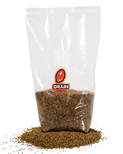 Sterilized Grain Bag (3LB)