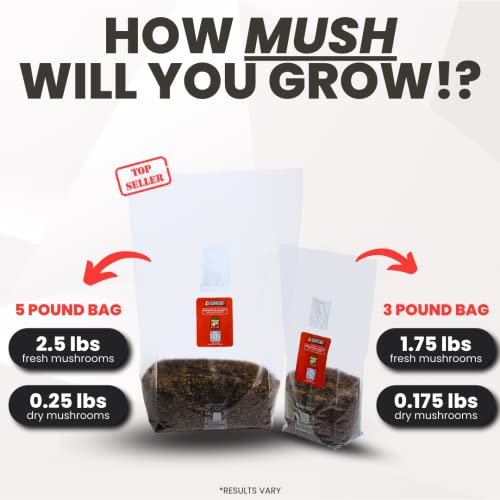 All in One Mushroom Grow Kit in-a-Bag