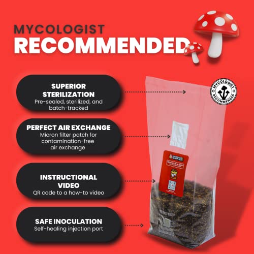All in One Mushroom Grow Kit in-a-Bag