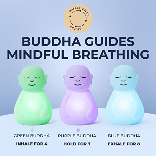  Mindsight Guided Breathing Buddha + Calming 'Ripple' : Health &  Household